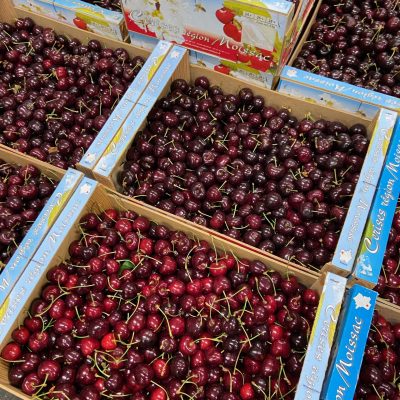Cherries-Black-Region-Moissac-C1-scaled