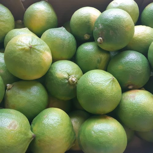 Citron-bergamotte-scaled