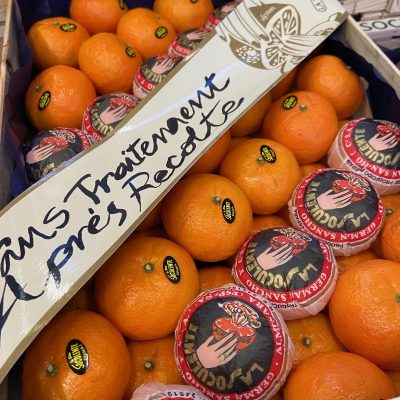 Clementine-La-Socculente-C1