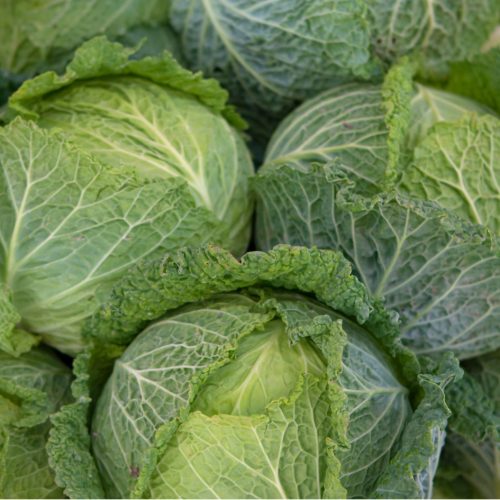 Fiche-choux-de-Savoie