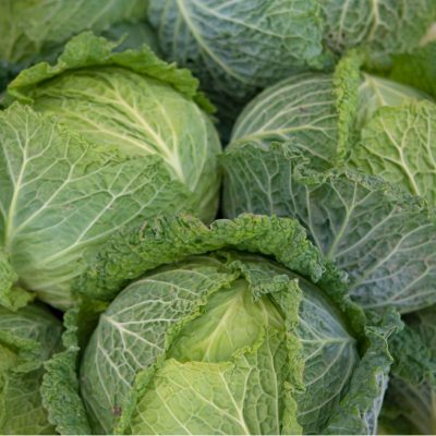 Fiche-choux-de-Savoie