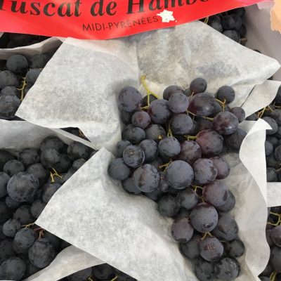 Grapes-Black-Muscat-de-Haubourg-C1
