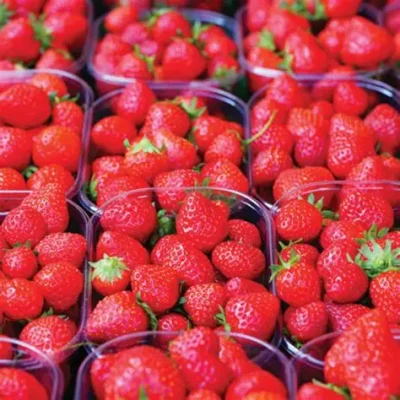 OIP08_9kH6F6kIP6jQqLsSyDgHaHa