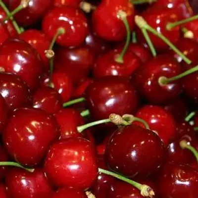 OIPnRVXsBS9SRimInBO8zAVKwHaE8