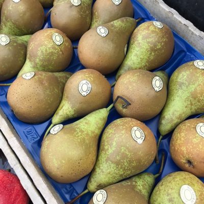 Pears-Louise-bonne-M