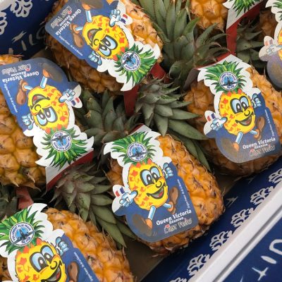 Pineapple-Queen-Victoria-P1