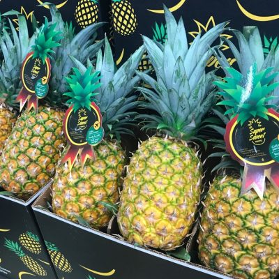 Pineapple-Super-Sweet-C1