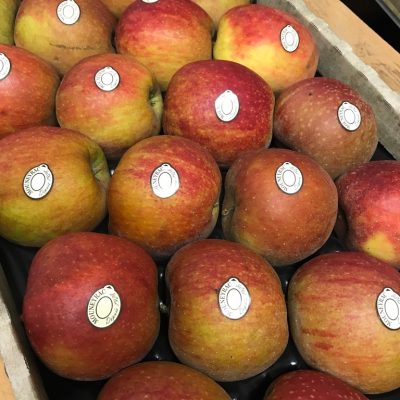 Pomme-R-des-reinettes