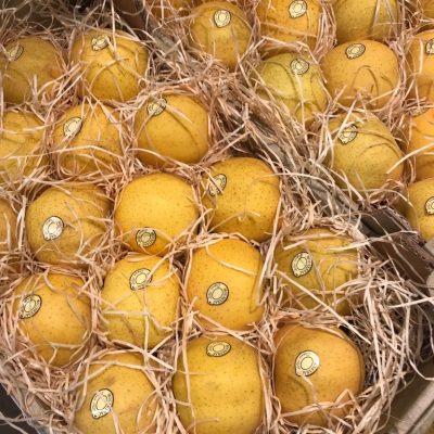 Pomme-golden-M