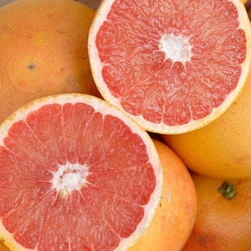 Sans-titre-2021-11-12T095517.976