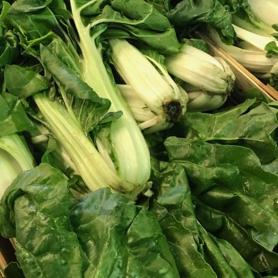 Swiss-Chard-C1-scaled
