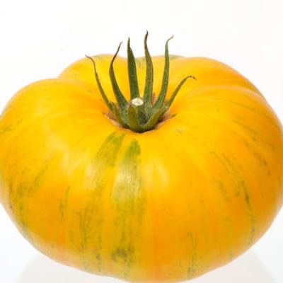 Ananas variété 2014