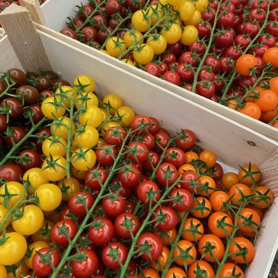 Tomatoes-Cherry-on-Vine-Mix-Color-C1-scaled