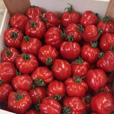 Tomatoes-Marmandes-C1-scaled