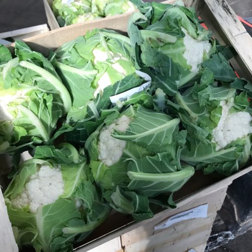 White-Cauliflower-C1