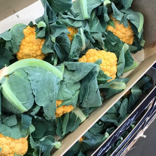 Yellow-Cauliflower-P1