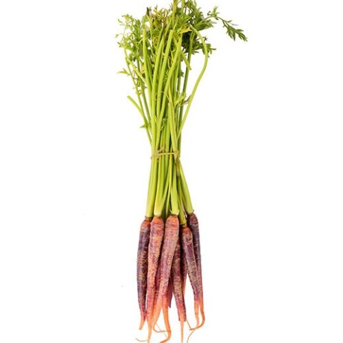 carotte-violette-mini