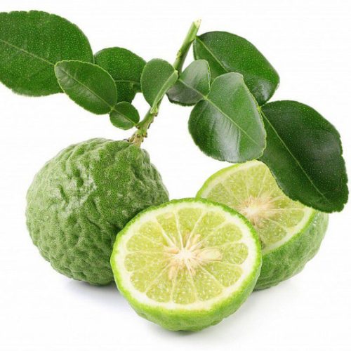 citrus-hystrix-combava-citron-combera-lime-grumeleuse