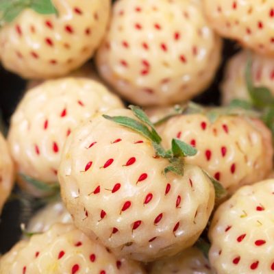 fraise-ananas-full-12564721