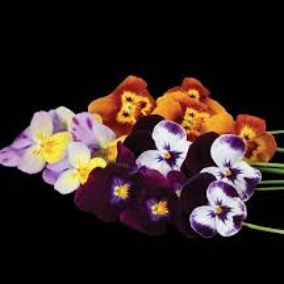 images