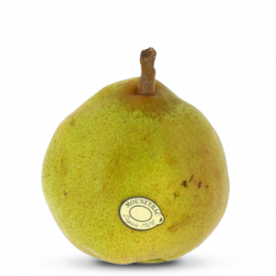 poi_Comice_mea-300x292