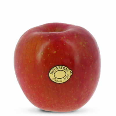 pom_Fuji_mea-300x292