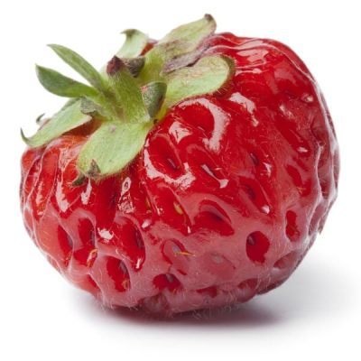 shutterstock_290406125-600x667