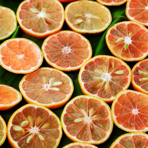 tranches-roses-de-citron-98410537