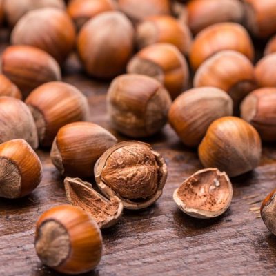 xnoisette.png.pagespeed.ic._YRh9WCfHw